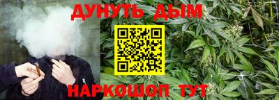 дмт Краснознаменск