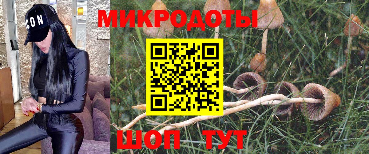 Псилоцибиновые грибы Psilocybine cubensis  Вход с VPN  Чита 